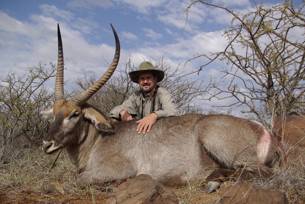 Waterbuck