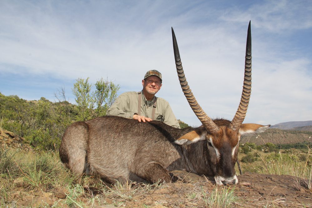 Waterbuck