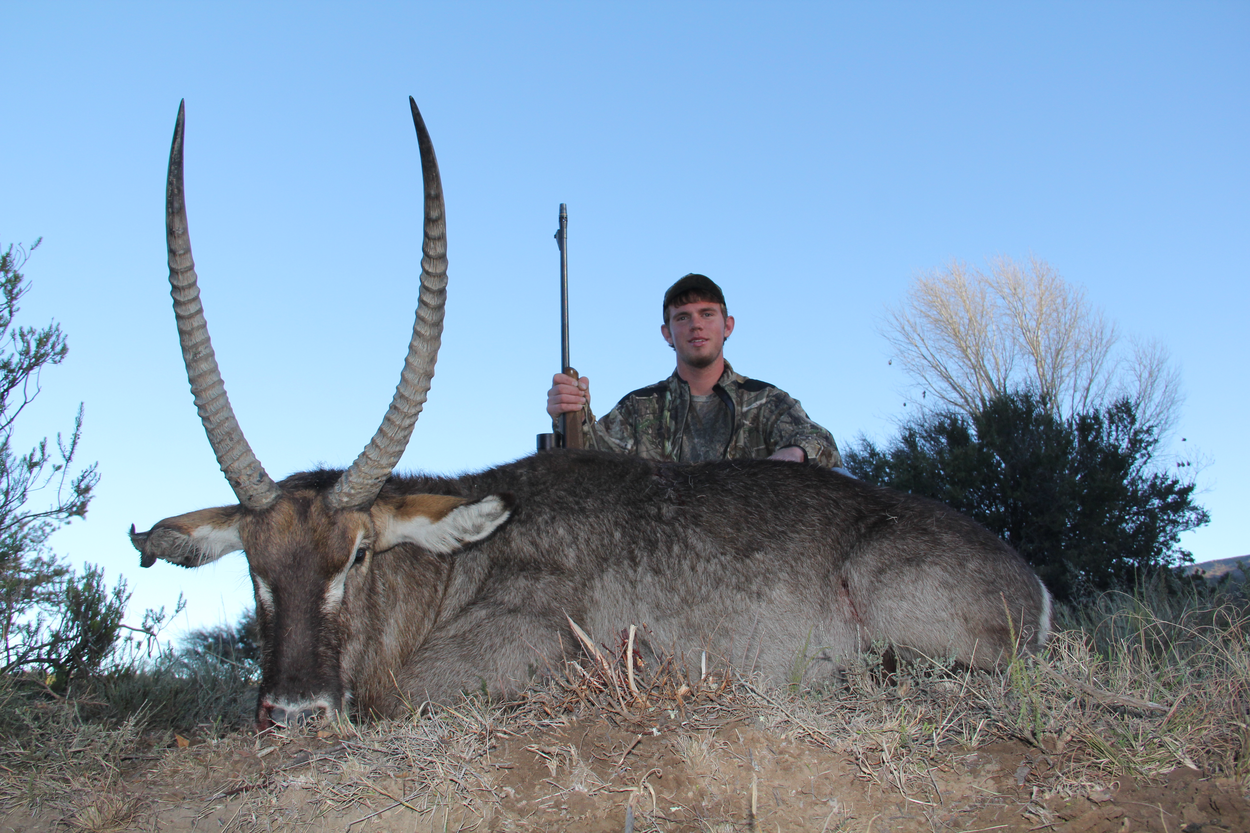 Waterbuck