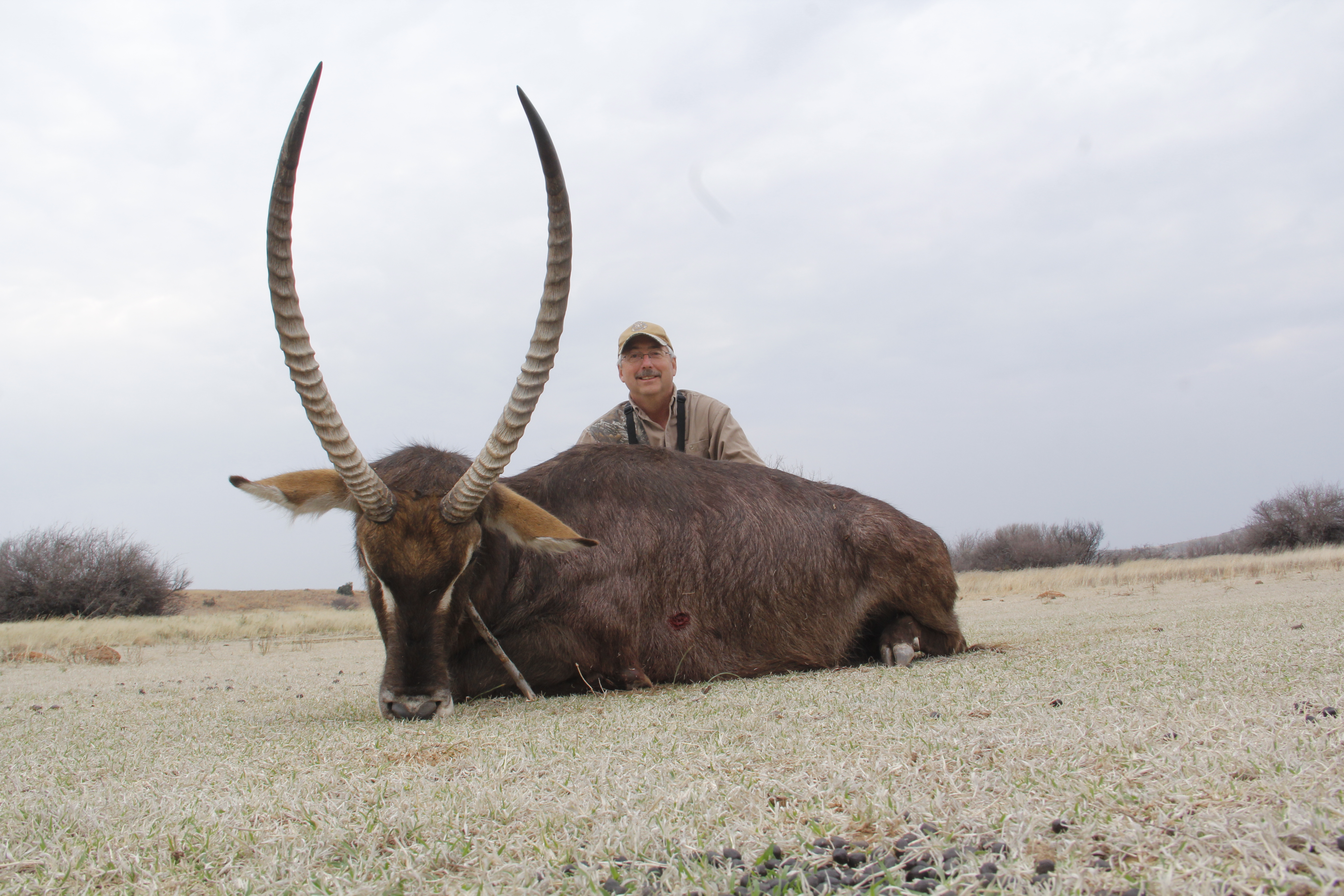 Waterbuck